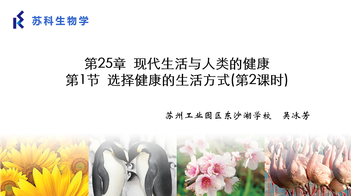 课程内容