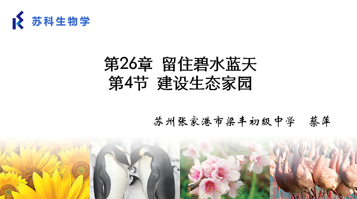 课程内容
