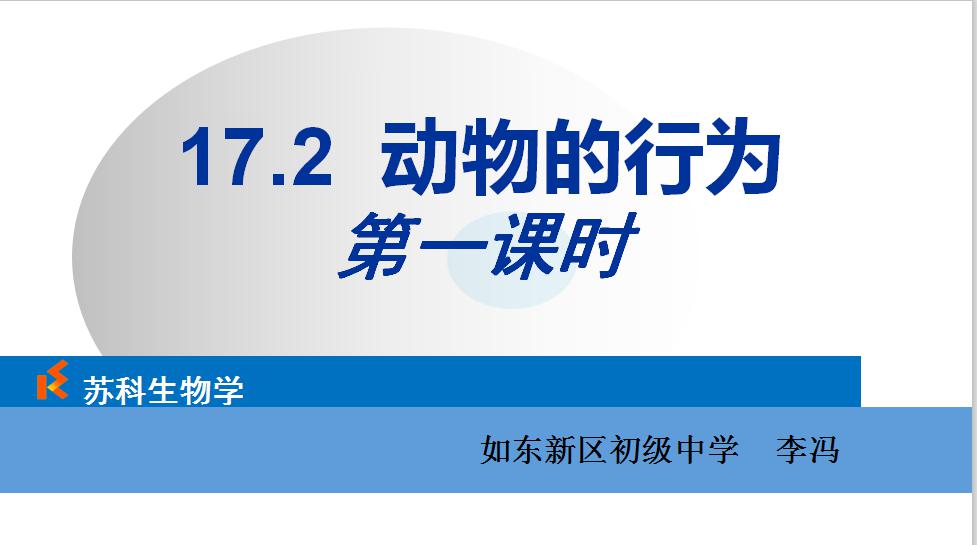 课程内容