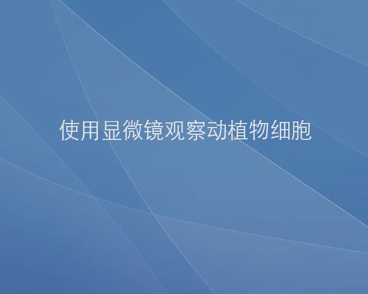 视频资源