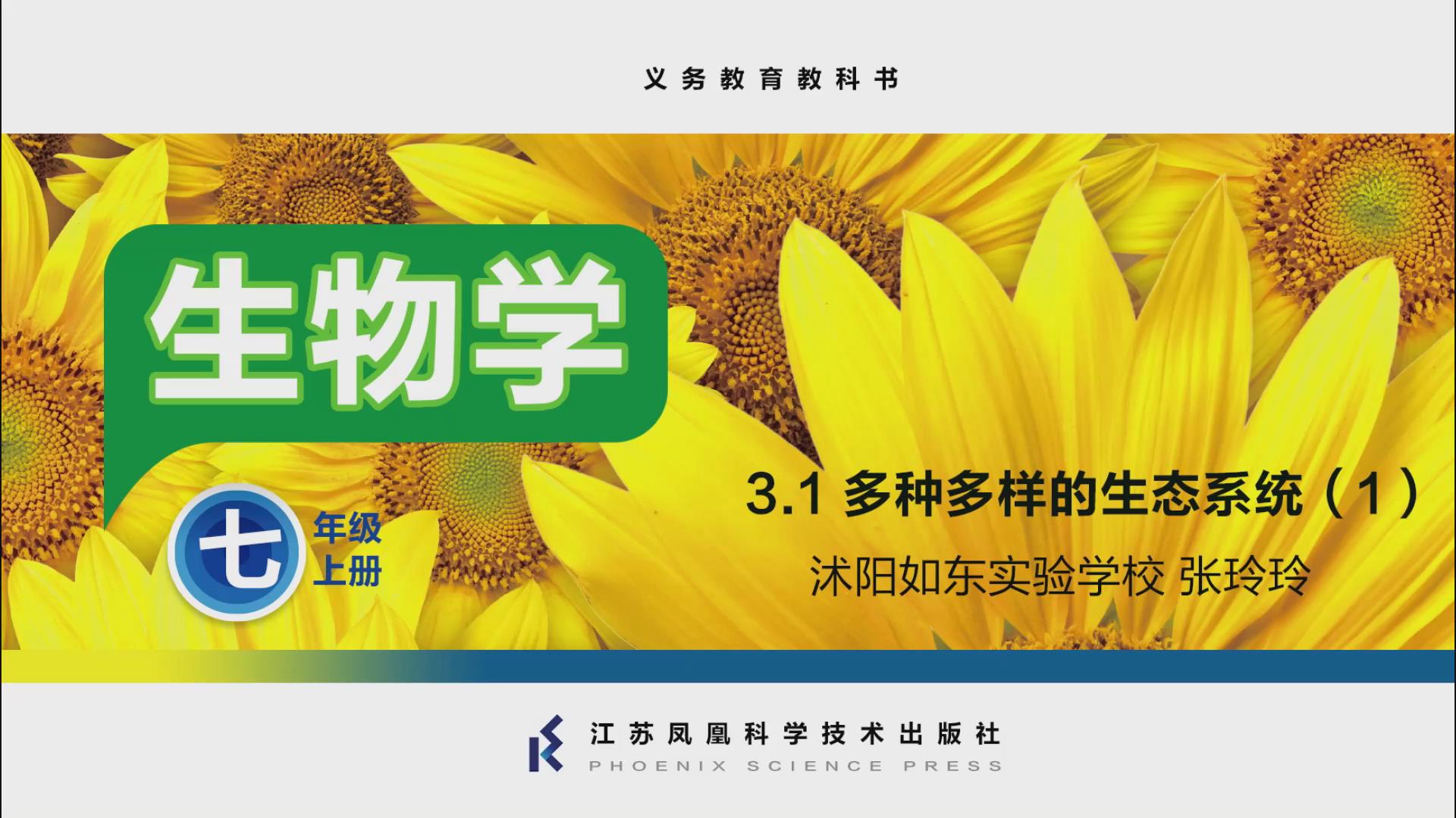 视频资源