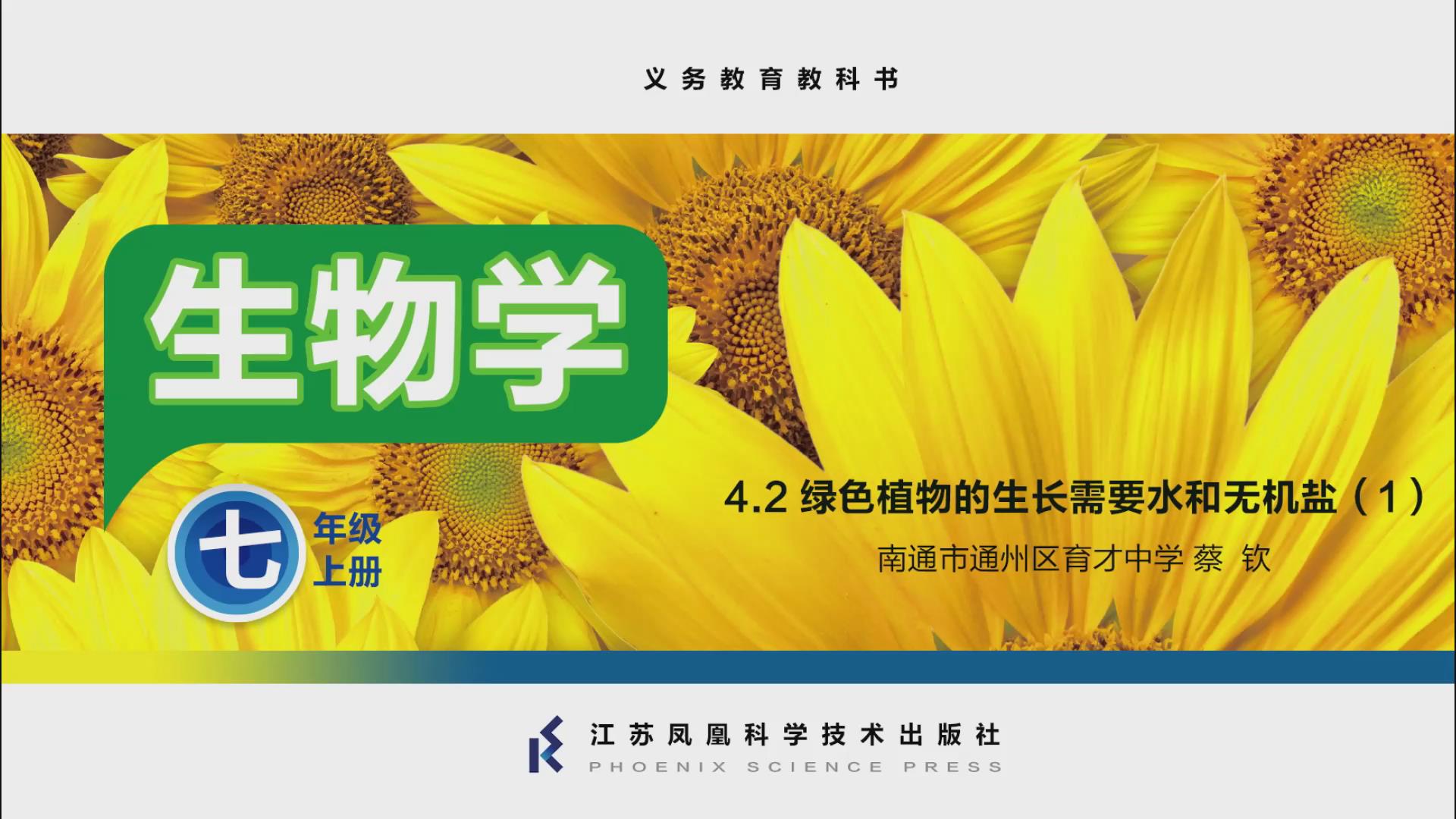 视频资源
