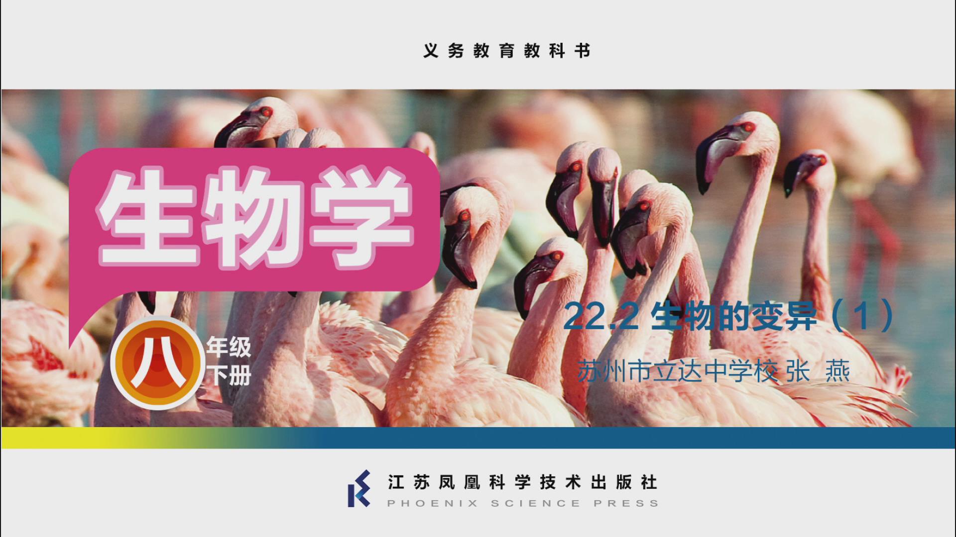 视频资源