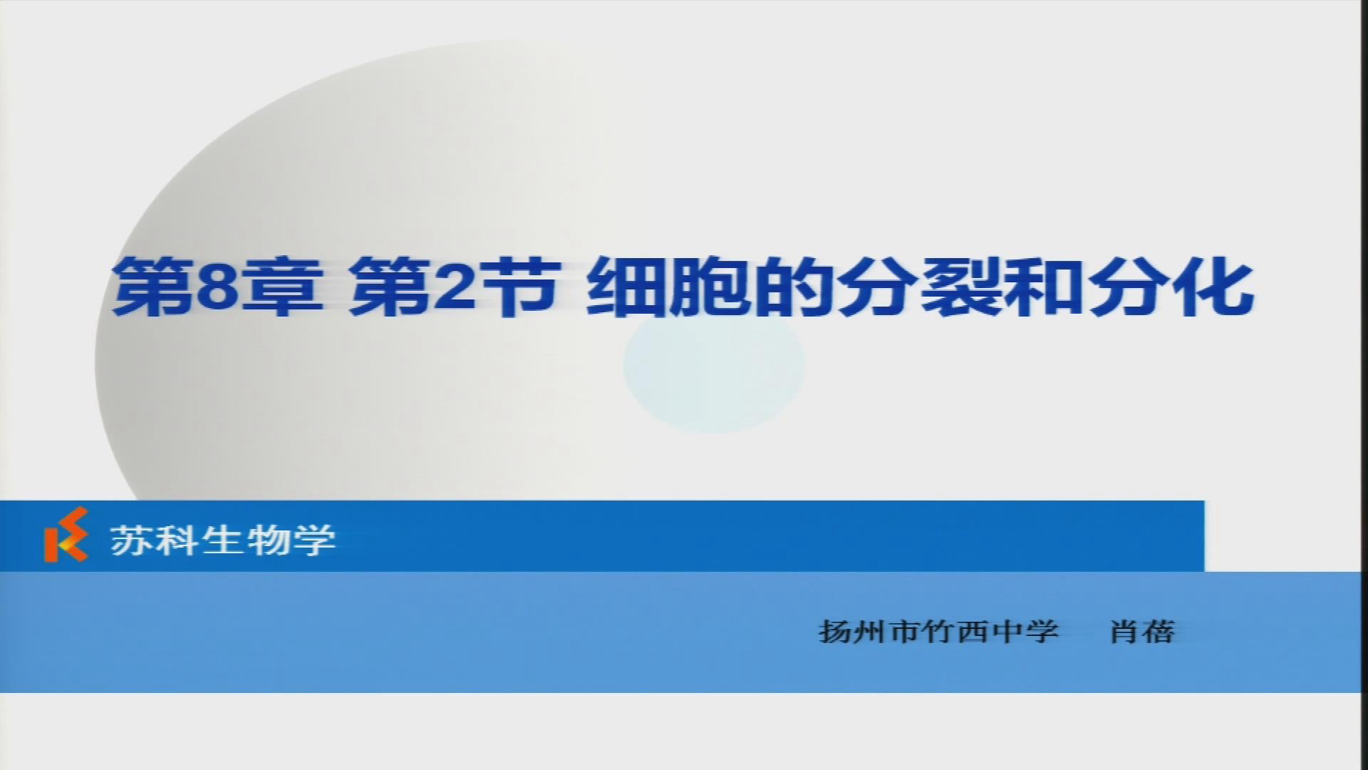 视频资源