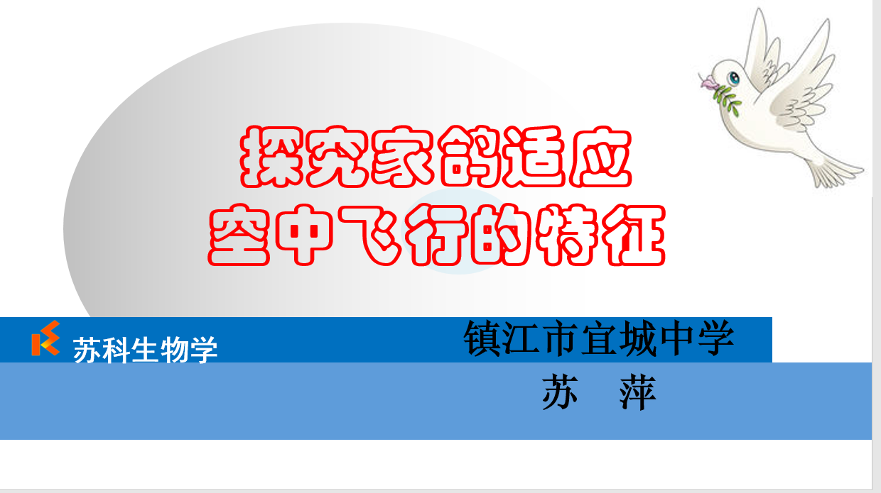视频资源