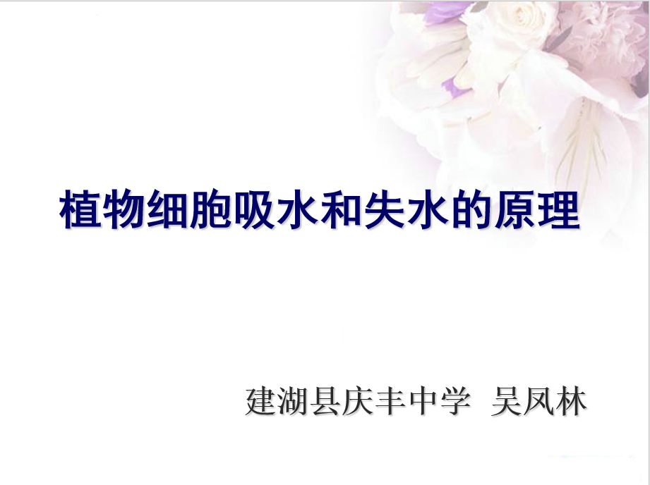 视频资源